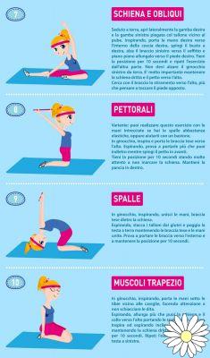 Stretching: what it is, benefits, video lessons and exercises to do to stretch yourself