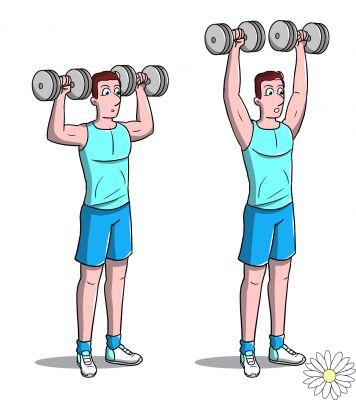 Workout at home: full body workout program for men and women