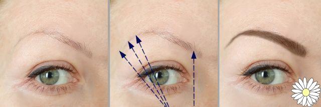 Eyebrow lamination: what it is, procedure, benefits, cost, how long it lasts and home treatment