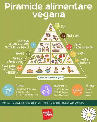 Vegan diet: what it is, principles, example of menus, benefits and health risks