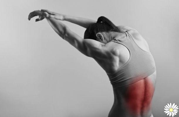 Postural gymnastics: what is it, what is it for, benefits, Mézières exercises for back and cervical pain