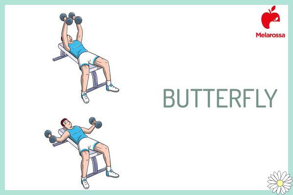 Chest exercises: programs with and without tools to sculpt them